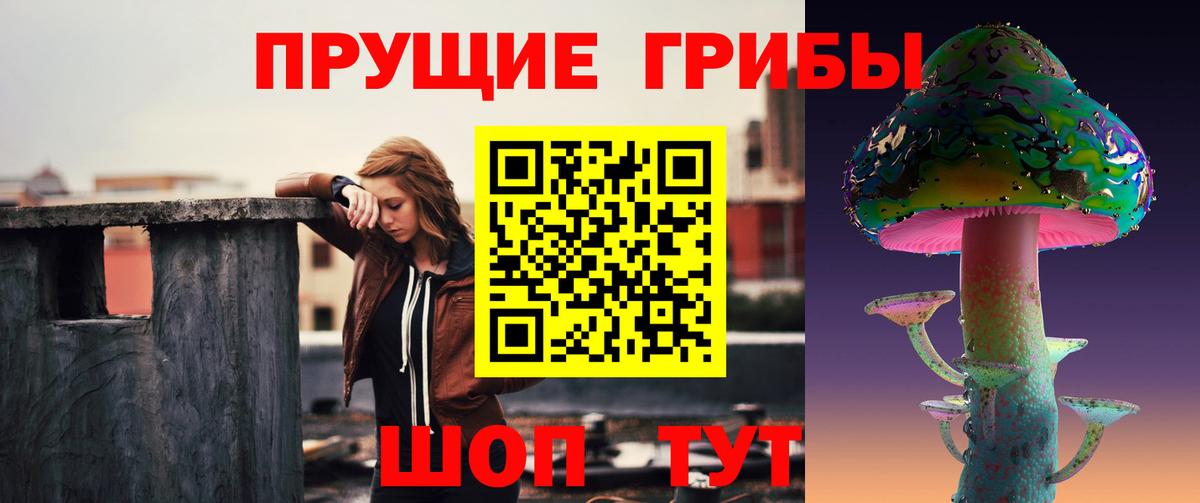 Псилоцибиновые грибы Cubensis Уварово
